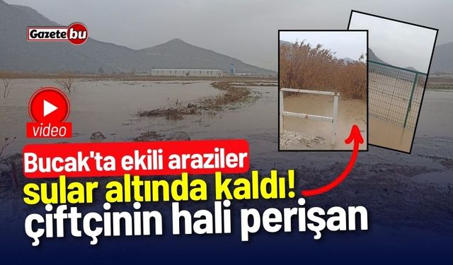 Bucak'ta ekili araziler sular altında kaldı!