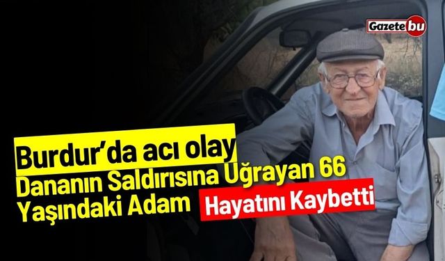 Burdur'da acı olay: Dananın saldırısına uğrayan 66 yaşındaki adam hayatını kaybetti