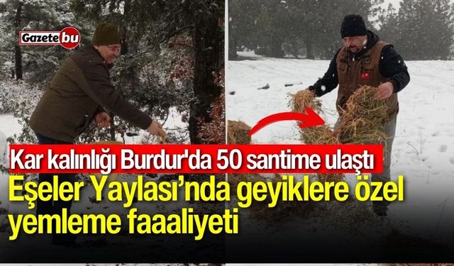 Kar kalınlığı Burdur'da 50 santime ulaştı: Eşeler Yaylası’nda geyiklere özel yemleme faaaliyeti