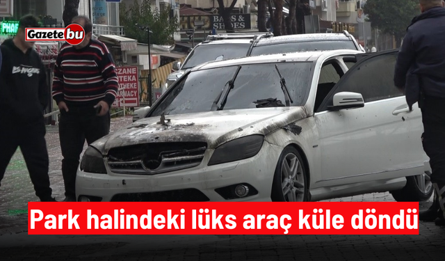 Park halindeki lüks araç küle döndü