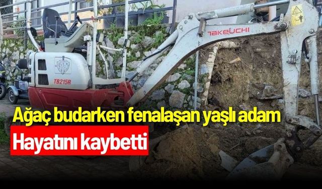 Ağaç budarken fenalaşan yaşlı adam hayatını kaybetti