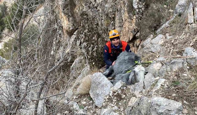 Burdur’da dağlık alanda mahsur kaldı: AFAD ekipleri yetişti