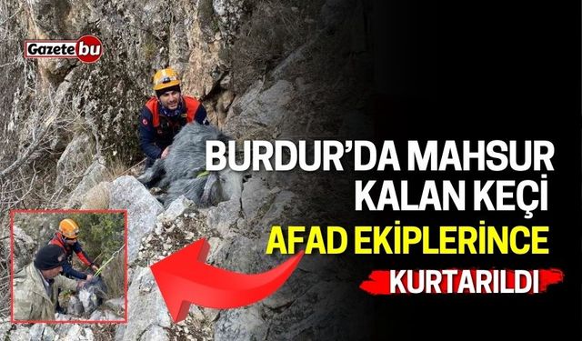 Burdur'da mahsur kalan keçi: AFAD ekiplerince kurtarıldı