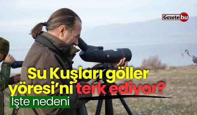 Su Kuşları göller yöresi’ni terk ediyor? İşte nedeni