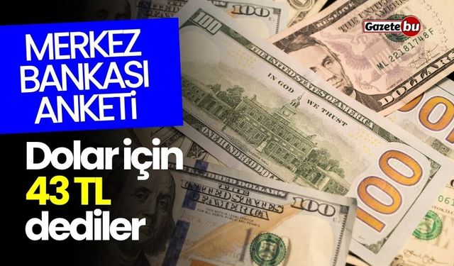 Merkez Bankası'nın anketi: Dolar için 43 lira dediler