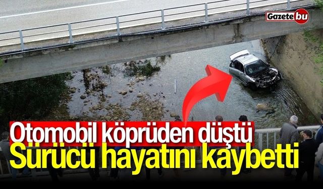 Otomobil dereye düştü: Sürücü hayatını kaybetti