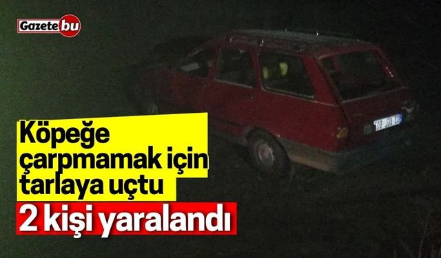 Köpeğe çarpmamak için tarlaya uçtu: 2 kişi yaralandı