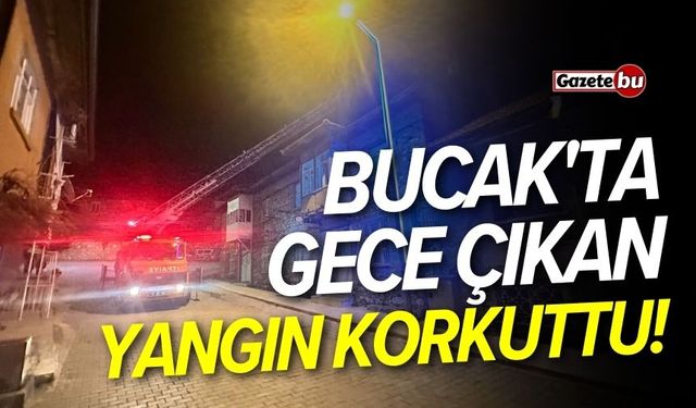 Bucak'ta gece çıkan yangın korkuttu!