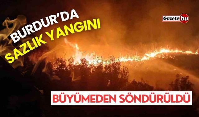 Burdur'da sazlık alanda çıkan yangın söndürüldü