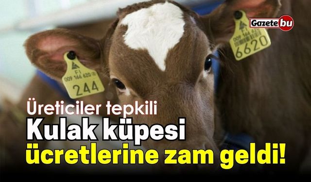 Hayvan kulak küpesi ücretlerine zam geldi! Üreticiler tepkili!