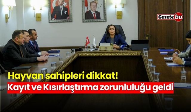 Hayvan sahipleri dikkat! Kayıt ve Kısırlaştırma zorunluluğu geldi