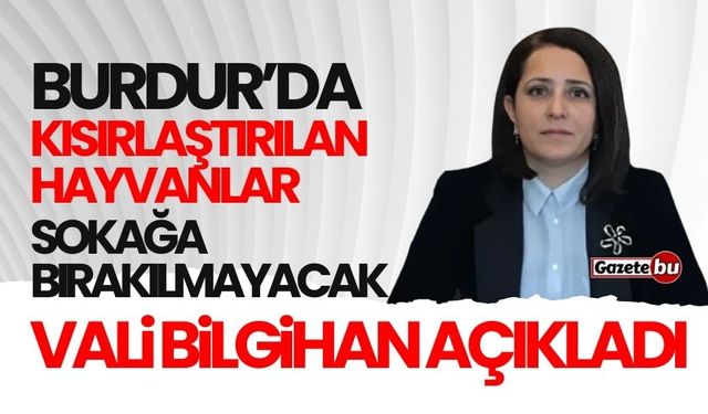 Burdur'da kısırlaştırılan hayvanlar sokağa bırakılmayacak!