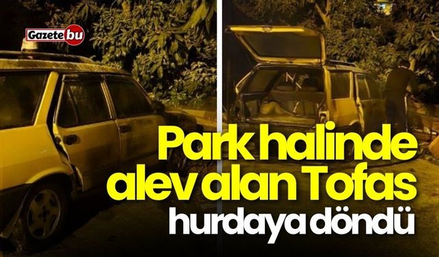 Park halinde alev alan Tofaş hurdaya döndü