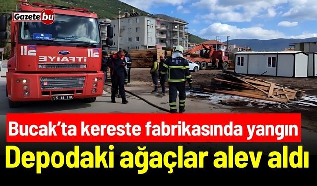 Bucak’ta kereste fabrikasında yangın: Depodaki ağaçlar alev aldı