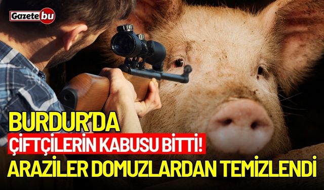 Çiftçilerin kabusu bitti! Domuzlar Tarım arazilerinden temizlendi