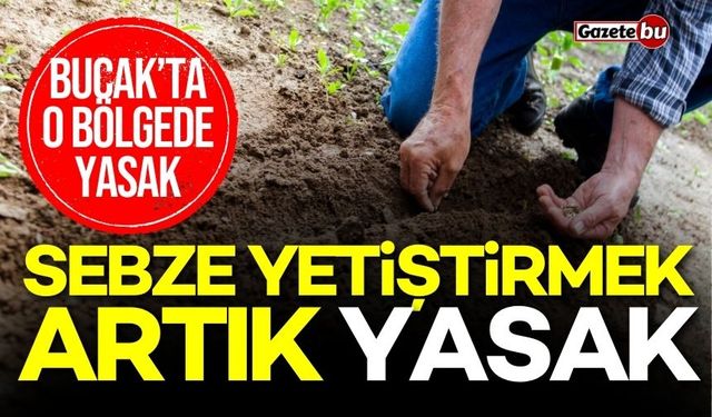 Bucak'ta bahçelerde sebze yetiştirmek artık yasak