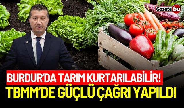 Burdur’da tarım kurtarılabilir! TBMM’de güçlü çağrı yapıldı