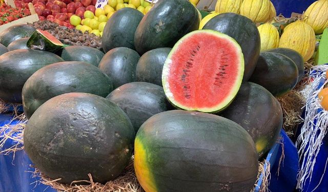 İthal karpuz satılıyor, yerli ürün tarlada kalıyor: Çiftçiden hükümete çağrı