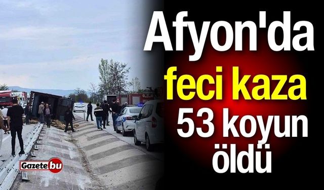 Afyon'da feci kaza: 53 koyun öldü