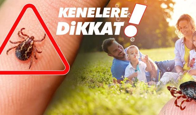 Havalar ısınıyor! Kenelere dikkat