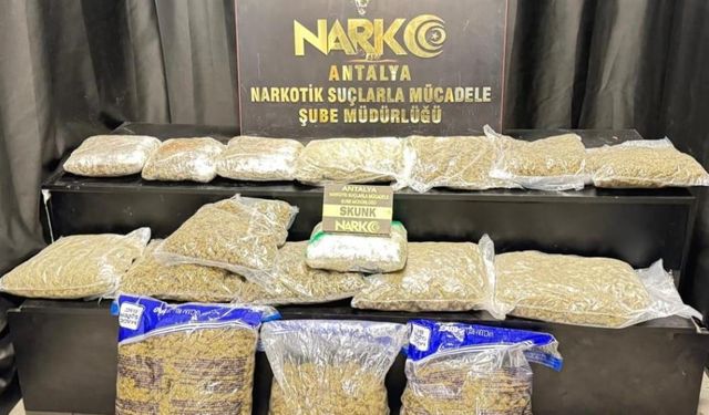 Antalya'da 21,5 kilo skunk ele geçirildi