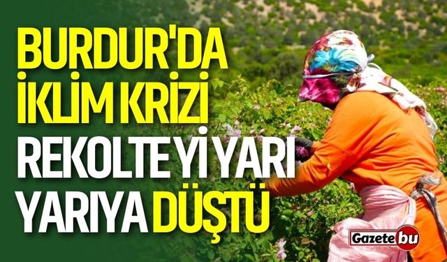 Burdur'da İklim Krizi Gül Üretimini Vurdu