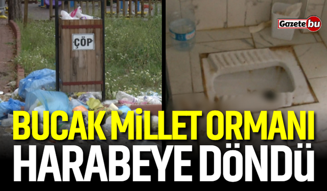Bucak Millet Ormanı harabeye döndü!