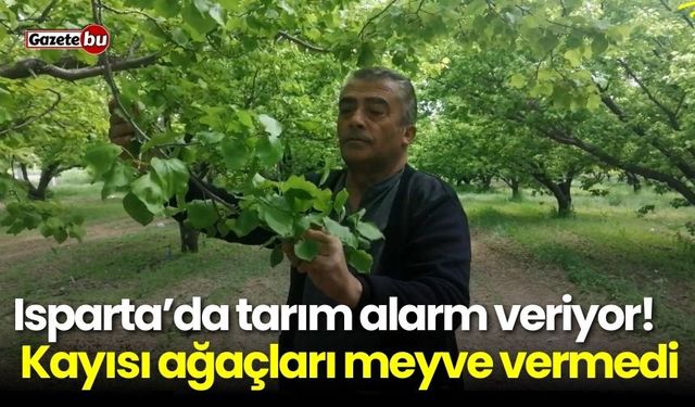 Isparta’da tarım alarm veriyor! Kayısı ağaçları meyve vermedi
