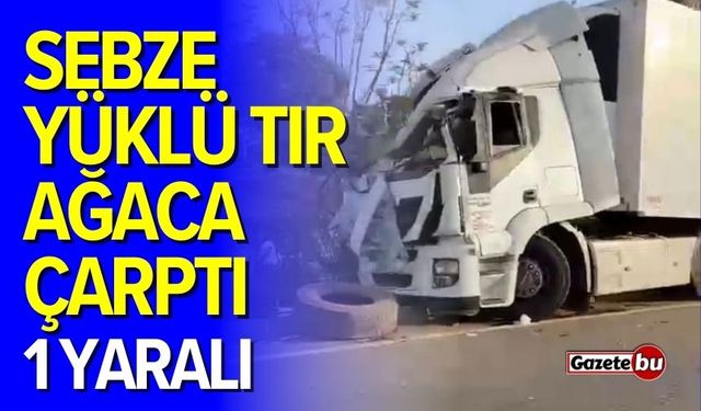 Sebze yüklü tır ağaca çarptı: 1 yaralı