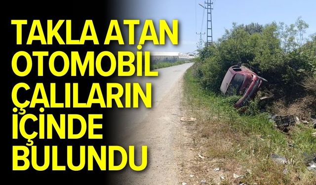Takla atan otomobil çalıların içinde bulundu