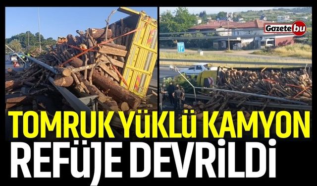 Tomruk Yüklü Kamyon Refüje Devrildi