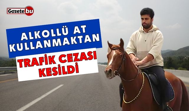 Alkollü at kullanmaktan trafik cezası kesildi