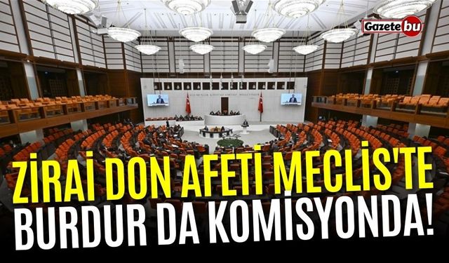 Zirai don afeti Meclis'te: Burdur da komisyonda