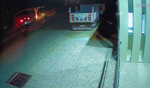Antalya'da otomobil ağaca çarptı, sürücü yaralandı