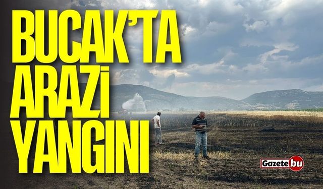 Bucak Dereköy'de Arazi Yangını Paniğe Yol Açtı!