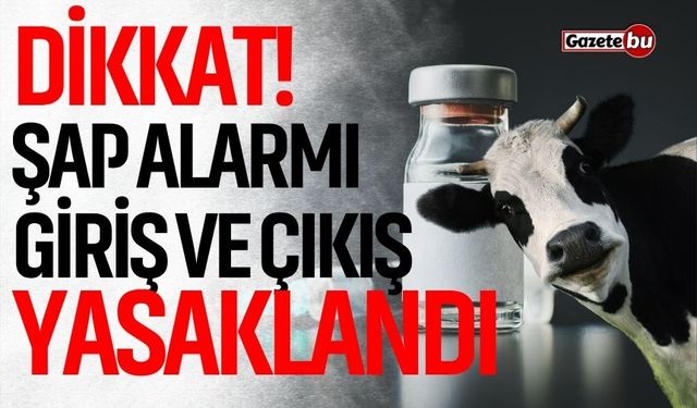 Dikkat! Şap alarmı: Giriş ve çıkış yasaklandı