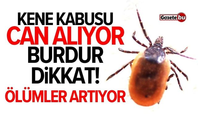 Kene Kabusu Can Alıyor: Burdur Dikkat! Ölümler Arttı...