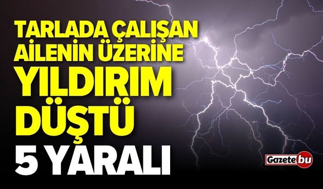 Tarlada Çalışan Ailenin Üzerine Yıldırım Düştü!