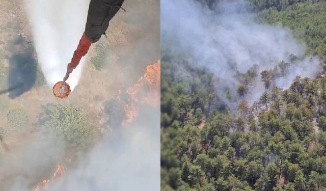 Denizli’de orman yangınına havadan ve karadan müdahale ediliyor