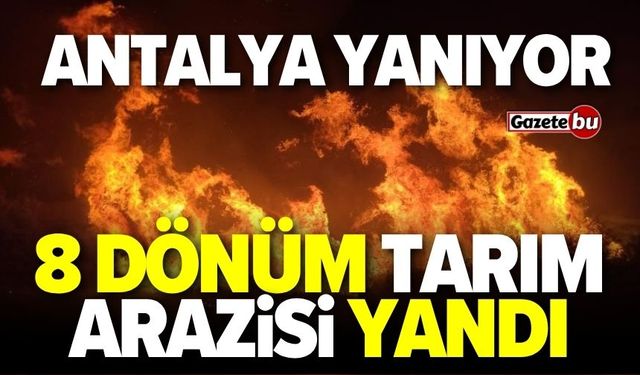 Antalya yanıyor! 8 dönümlük tarım arazisi zarar gördü