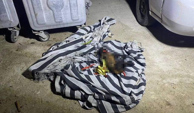 Çöp konteynerindeki yangın sonrası köpeğin öldüğü ortaya çıktı