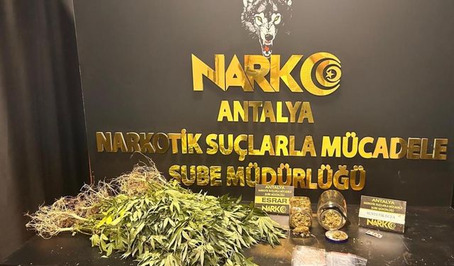 Antalya'da uyuşturucu operasyonu: 20 tutuklama