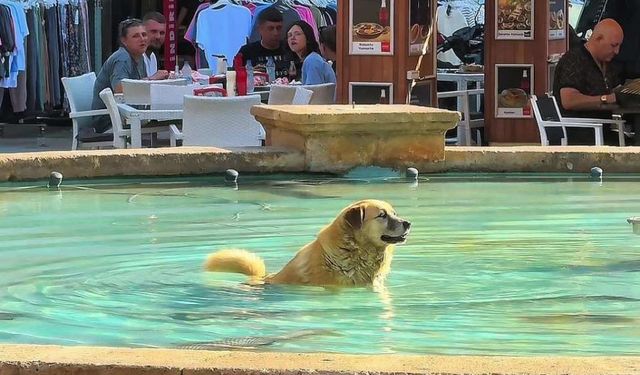 Çocuklar sıcak havada süs havuzunda serinledi