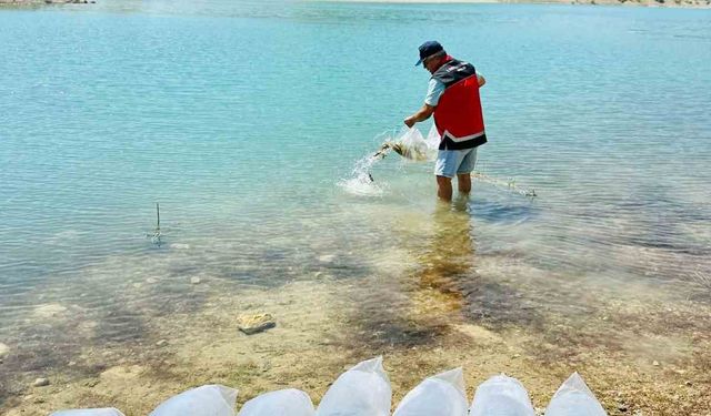 Korkuteli’nde 60 bin sazan balığı doğaya bırakıldı