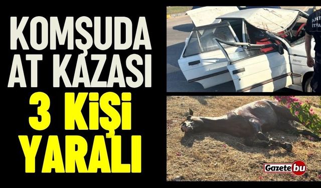 Komşuda at kazası! 3 kişi yaralandı