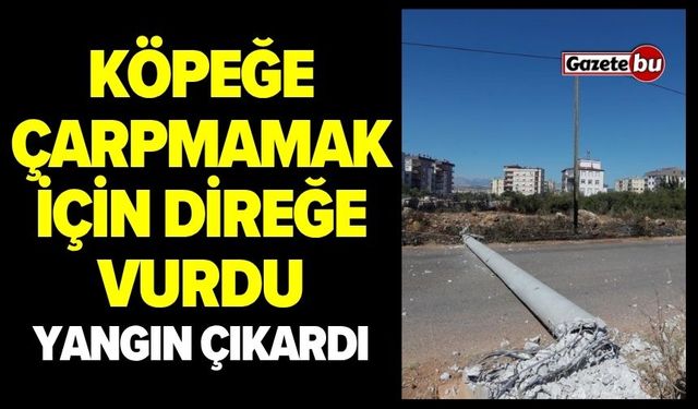 Köpeğe çarpmamak için elektrik direğine vurdu