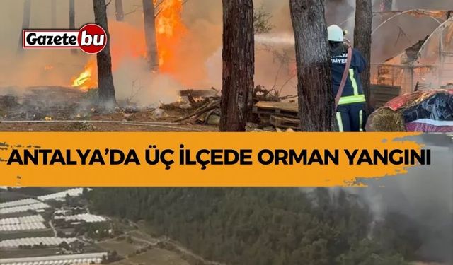 Antalya’da Üç İlçede Orman Yangını: Havadan ve Karadan Müdahale Sürüyor
