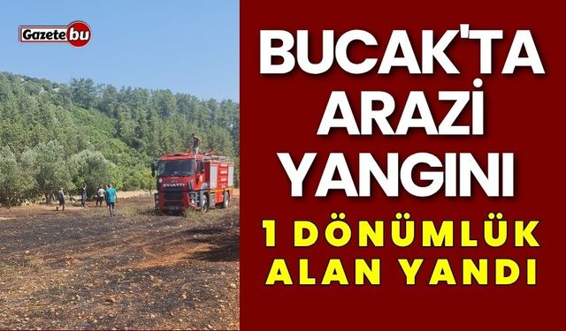 Bucak'ta Arazi Yangını 1 Dönümlük Alan Yandı