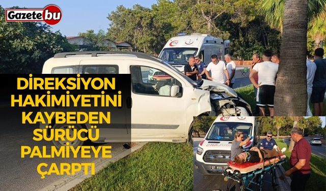 Direksiyon hakimiyetini kaybeden sürücü palmiyeye çarptı