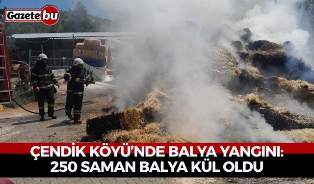 Çendik Köyü’nde Balya Yangını: 250 Saman Balya Kül Oldu